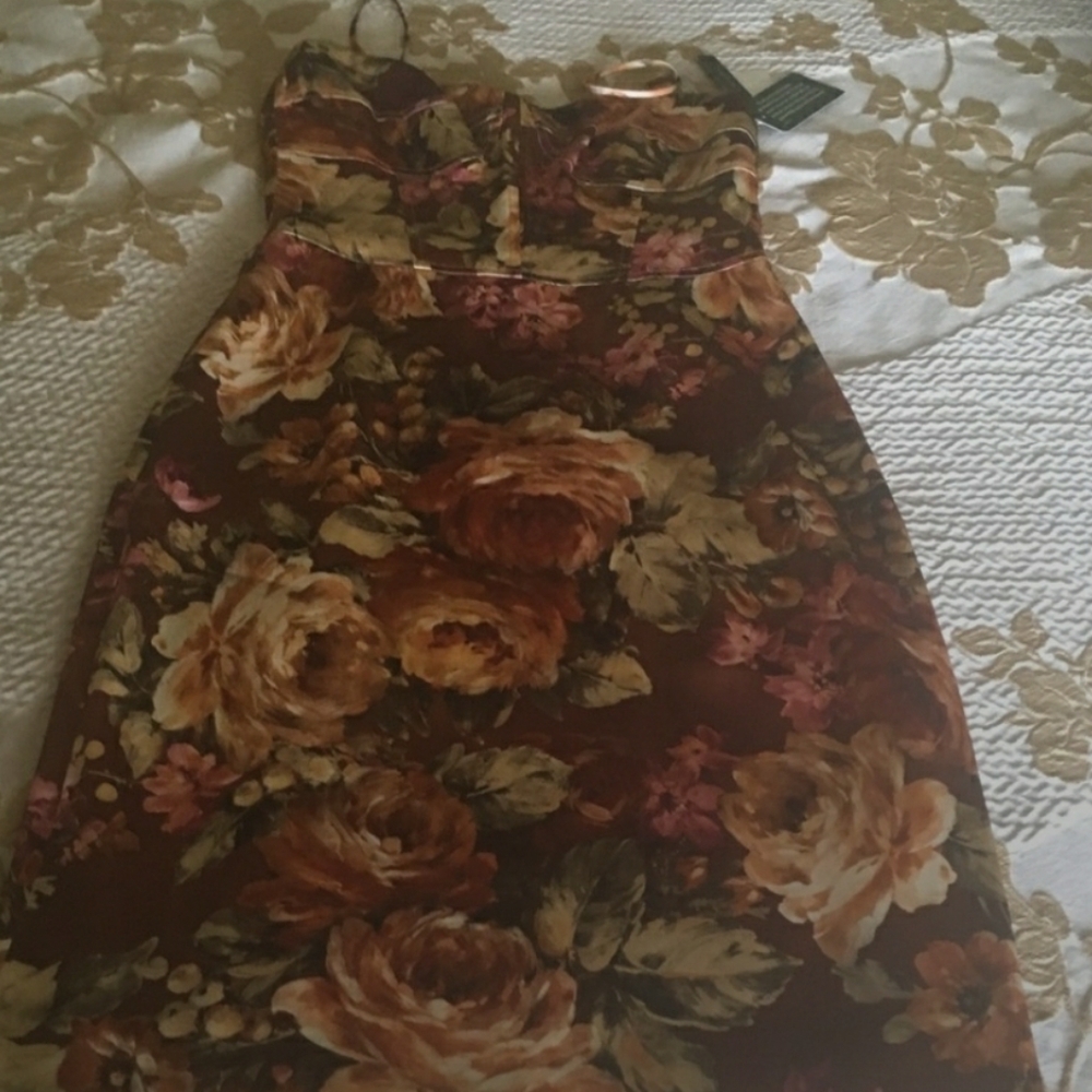 David Meister Floral Bodycon Dress